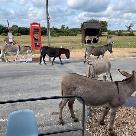 New Forest View Beaulieu Bagian luar foto