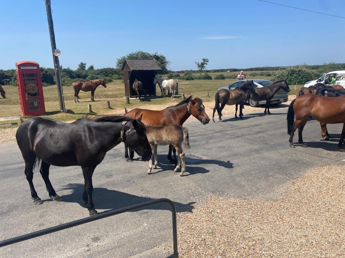 New Forest View Beaulieu Bagian luar foto